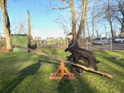 Briardag 2026-01-18_6309-400