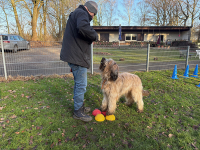 Briardag 2026-01-18_6389-400