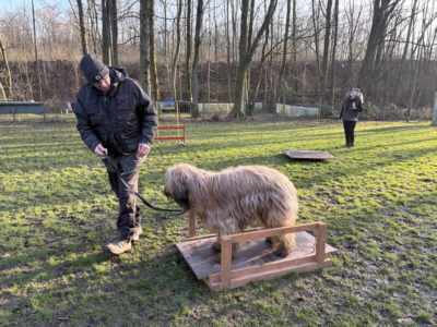 Briardag 2026-01-18_6411-400