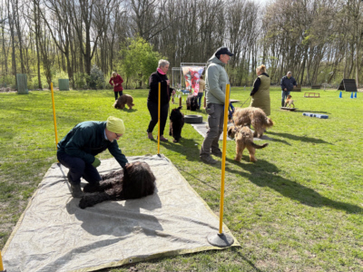 Briardag 2026-03-29_7397-400