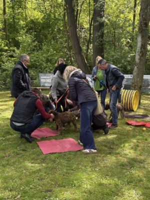 Briardag 2026-04-26 Runde cca872-300