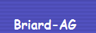 Briard-AG 